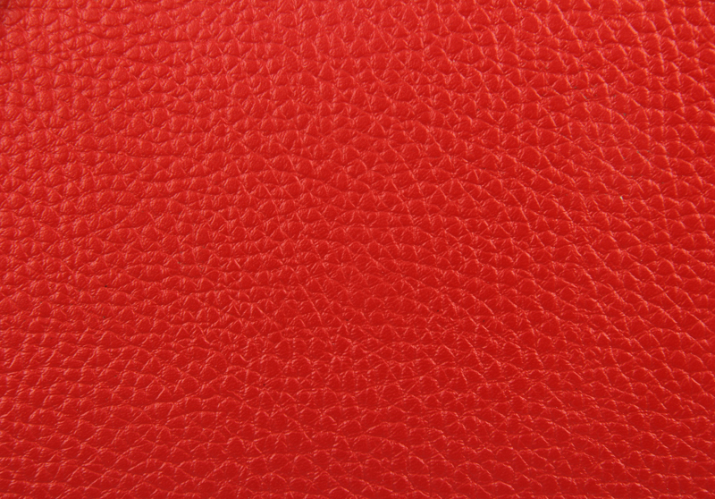 IMG_7764.jpg